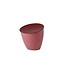 Mepal Afvalbakje Calypso Vivid Mauve 2.2 L