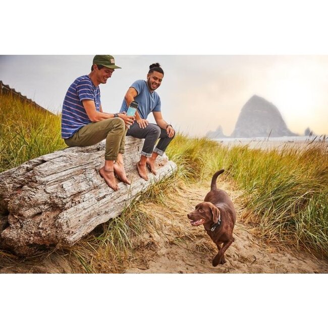 Hydro Flask Koffiebeker 473 ml White