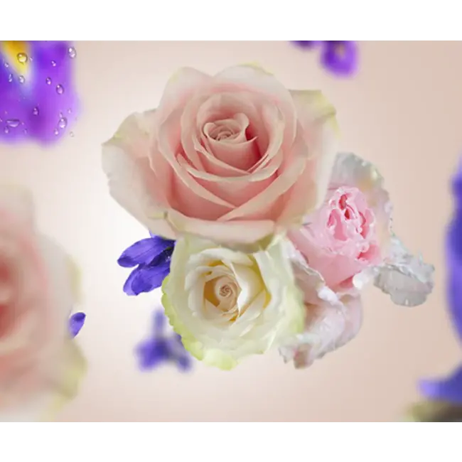 Maison Berger Navulling Autoparfum Paris chic - 2 stuks