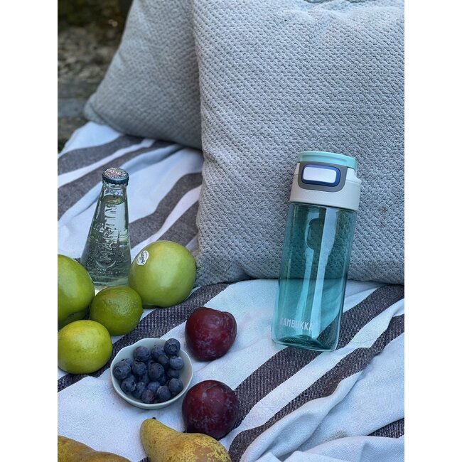 Kambukka Drinkfles Elton Ice Green 500ml