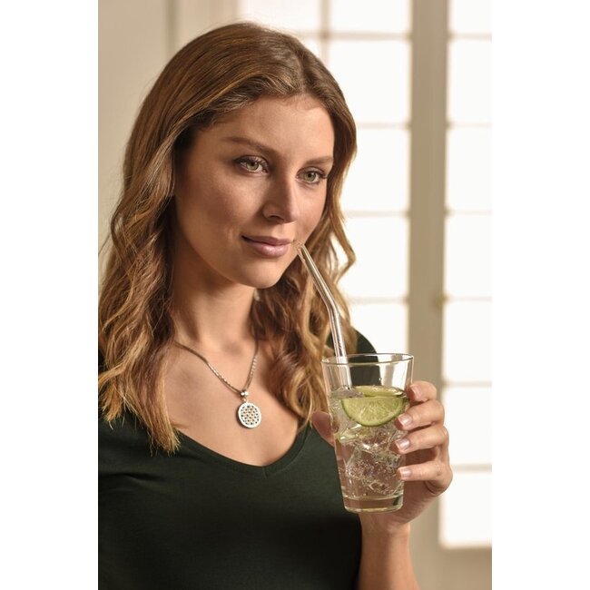 Leonardo Glazen Gebogen Rietjes Ciao 23cm + borstel 4 stuks