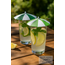 Glasparasol - Set van 6 stuks