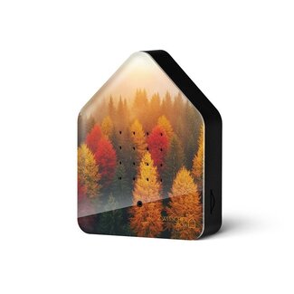 Relaxound Zwitscherbox Vogelhuisje Golden Leaves