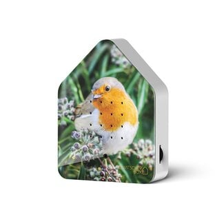 Relaxound Zwitscherbox Robin Redbreast