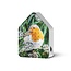Relaxound Zwitscherbox Robin Redbreast - Met Bewegingssensor Vogelgeluiden Compact Ontspannend en Decoratief - Limited Edition