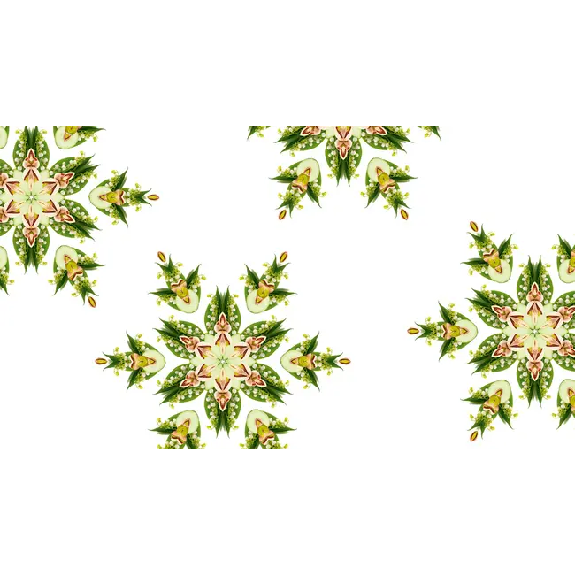 Lampe Berger Navulling Huisparfum Geurbrander Crunchy Fruits / Fruits Croquants 500 ml