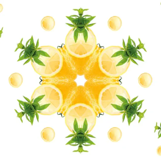 Lampe Berger Navulling Geurbrander Zest of Verbena / Zeste de Verveine1 liter