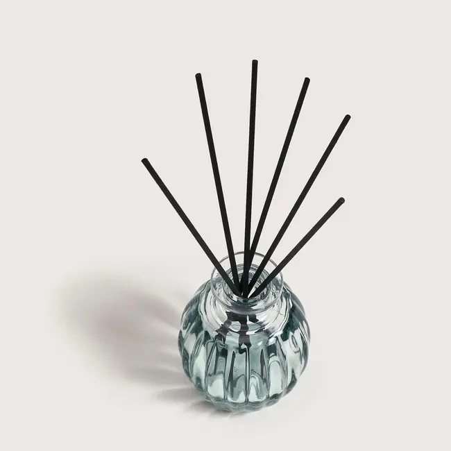 Maison Berger Geurstokjes Corali Aqua Céleste 100 ml