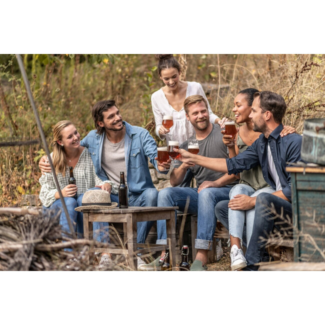 Bierglas Beer Basic Craft 4 stuks