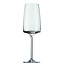 Zwiesel Glas Glas Vivid Senses Champagneglas Light & fresh 77 - 2 stuks