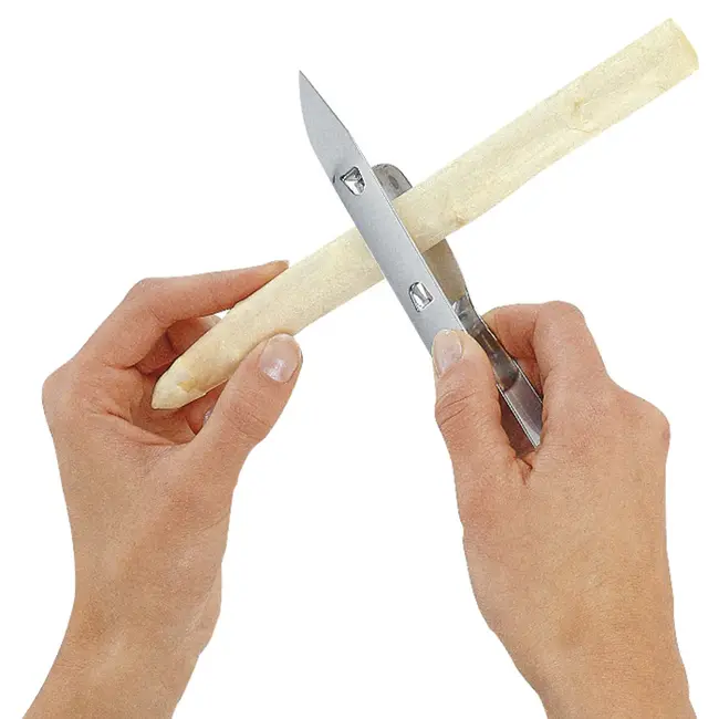 WMF Aspergeschiller Gourmet