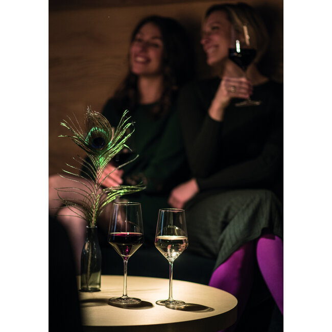 Zwiesel Glas Wijnglas Riesling Pure 300 ml 2 stuks