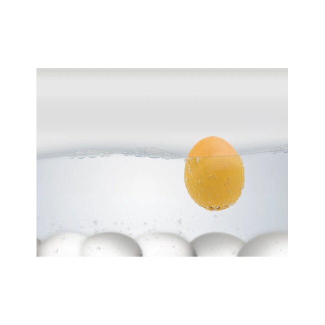 Brainstream PiepEi Eierwekker Delft