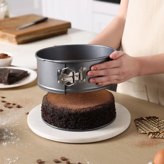 Zyliss Springvorm Non-Stick 20 cm