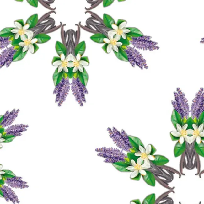 Lampe Berger Navulling - Huisparfum - Voor Geurbrander - Lumière Florale / Light Floral - 1 liter