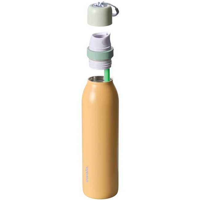 Owala FreeSip Twist RVS Geïsoleerde Waterfles 710 ml – Sugar High (24 oz)