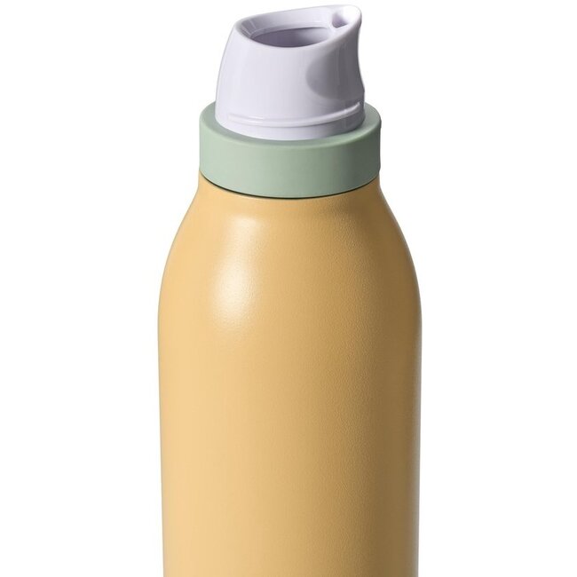 Owala FreeSip Twist RVS Geïsoleerde Waterfles 710 ml – Sugar High (24 oz)