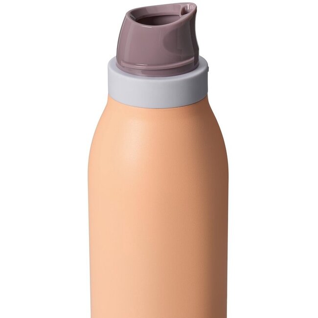 Owala FreeSip Twist RVS Geïsoleerde Waterfles 710 ml – Peachy Keen (24 oz)