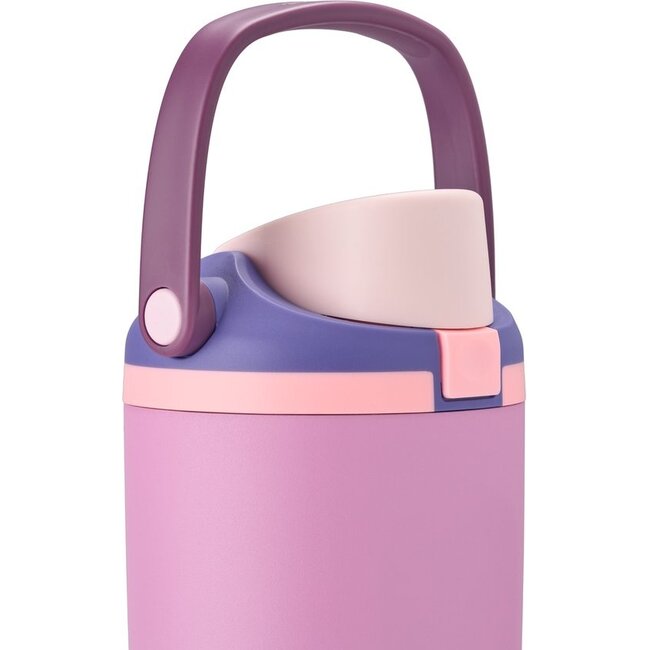 Owala FreeSip Sway RVS Geïsoleerde Waterfles 890 ml – Pretty in Purple (32 oz)
