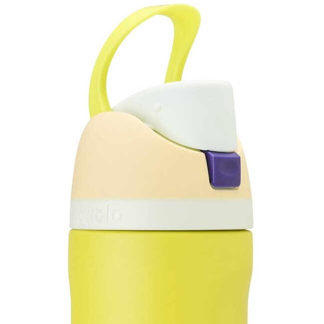 Owala FreeSip RVS Geïsoleerde Waterfles 710 ml – Lemon Limeade (24 oz)
