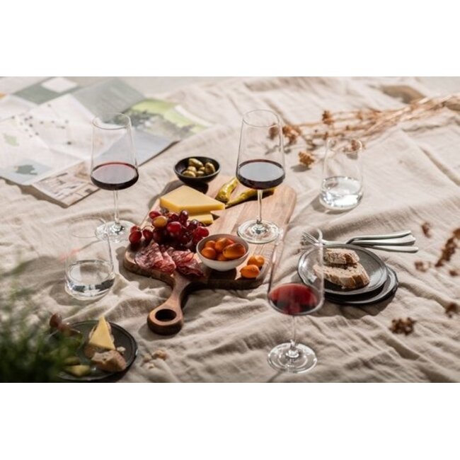 MioVino Glazenset 12-delig – Complete Set Wijnglazen & Champagneglazen