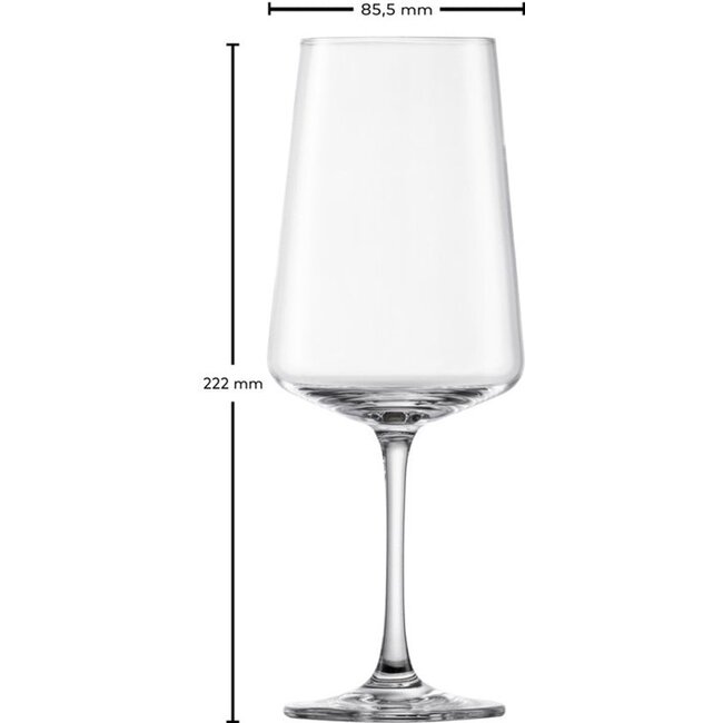 MioVino Glazenset 12-delig – Complete Set Wijnglazen & Champagneglazen