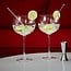 Leopold Vienna Gin Tonic Cadeauset (5-Delig) – Luxe Glazen en Barmaatje