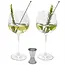 Leopold Vienna Gin Tonic Cadeauset (5-Delig) – Luxe Glazen en Barmaatje