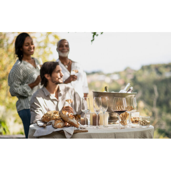 Zwiesel Glas Prizma Champagneglazen 288ml – Set van 2 Luxe Champagneglazen met Ribbelstructuur van Breukvast Tritan® Kristalglas