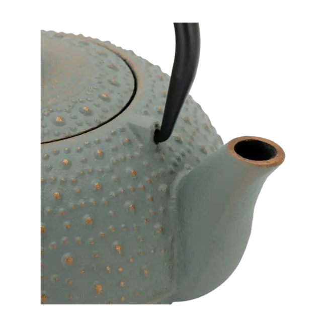 Bredemeijer Anhui Gietijzeren Theepot 0,9L Blauw – Compacte Aziatische Theepot inclusief RVS Theefilter