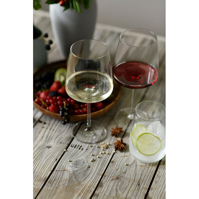 Zwiesel Glas Glas Vivid Senses Waterglazen 500ml Set van 4 – Tritan® Kristalglas Tumblers voor Water en Cocktails