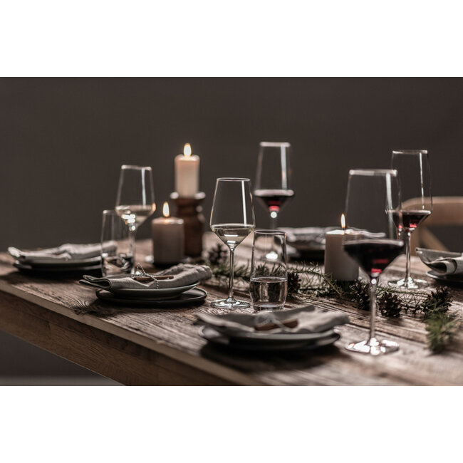 Zwiesel Glas Sauvignon Blanc Glazen Pure 408 ml (2 Stuks) – Tritan® Kristalglas – Witte Wijnglazen