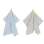 Vaat Amsterdam Cadeauset Thee- & Keukendoek - Pastel Blue / Yellow - Leopard 2