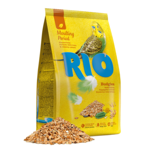 RIO Nourriture pour jeunes perruches en période de mue