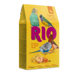 RIO Nourriture complémentaire pour les jeunes perruches et autres petits oiseaux