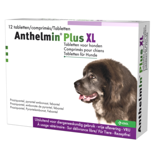 Anthelmin Anthelmin Plus XL Chien 12 Tablettes