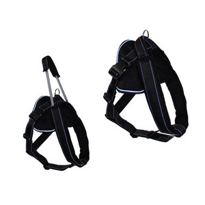Patento Pet Jockey Harness with integrated long leash Black