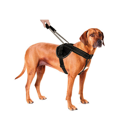 Patento Pet Jockey Harness mit integrierter langer Leine Schwarz