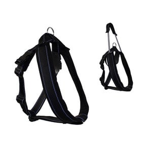 Patento Pet Sports Harness with integrated long leash Black