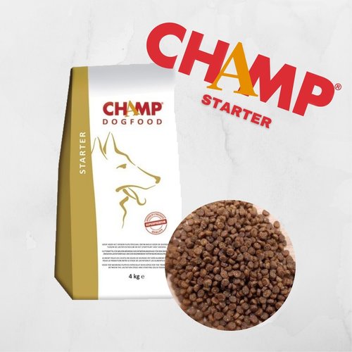 Champ Food Starter Champ Food Starter