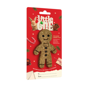 Little One Little One Meadow grass man. Christmas treat-toy for all small mammals, 55 g