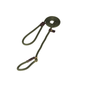 Pet-Joy The DoggyWalker Ligne de Glissement Olive Green