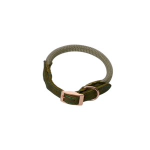 Pet-Joy DoggyWalker Collar Tan Green