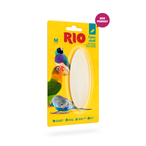 RIO RIO Sepia shell taille