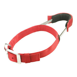 Patento Pet Sporthalsband rood