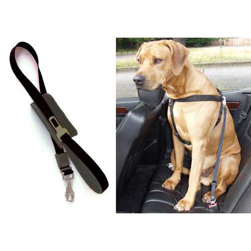 Patento Pet Walk and drive leash sport Black