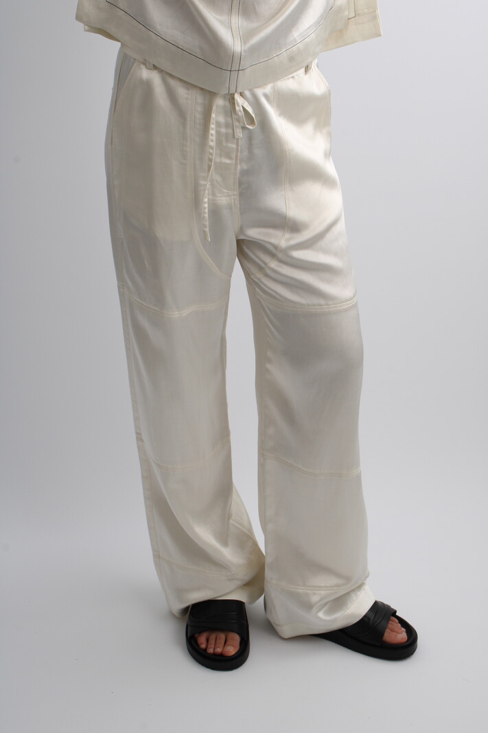 DAY Dina High Shine Blend Pants