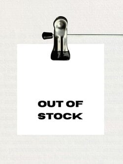 RR ARCHIVE Louis Vuitton Speedy 35