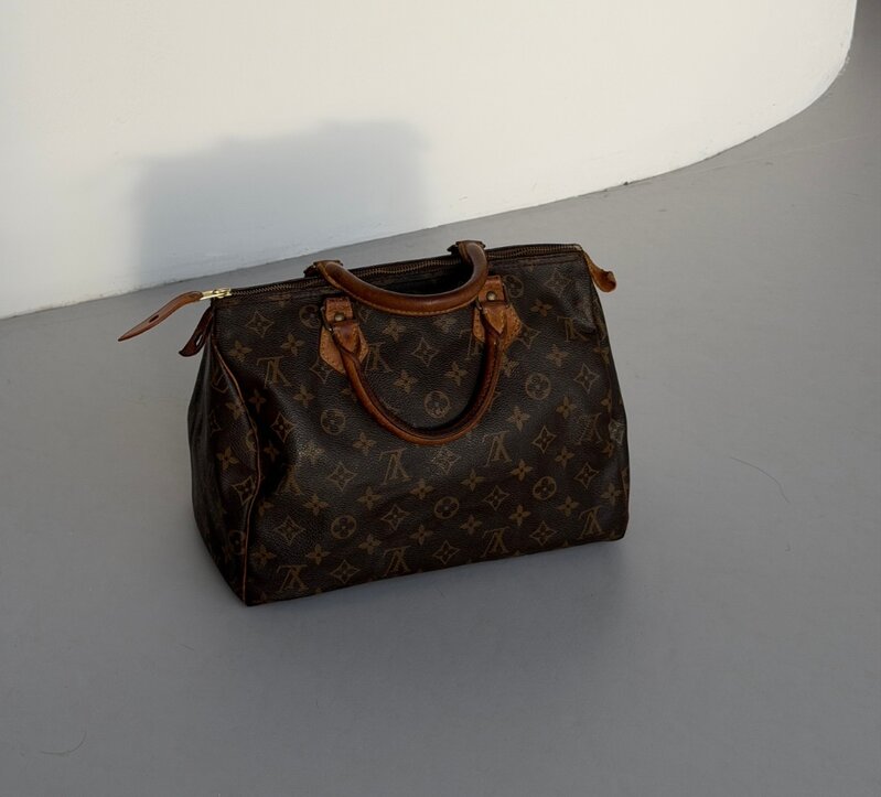 Louis Vuitton Speedy 30 - Rough Riders