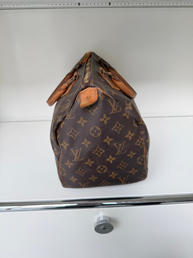 Louis Vuitton Speedy 30 - Rough Riders